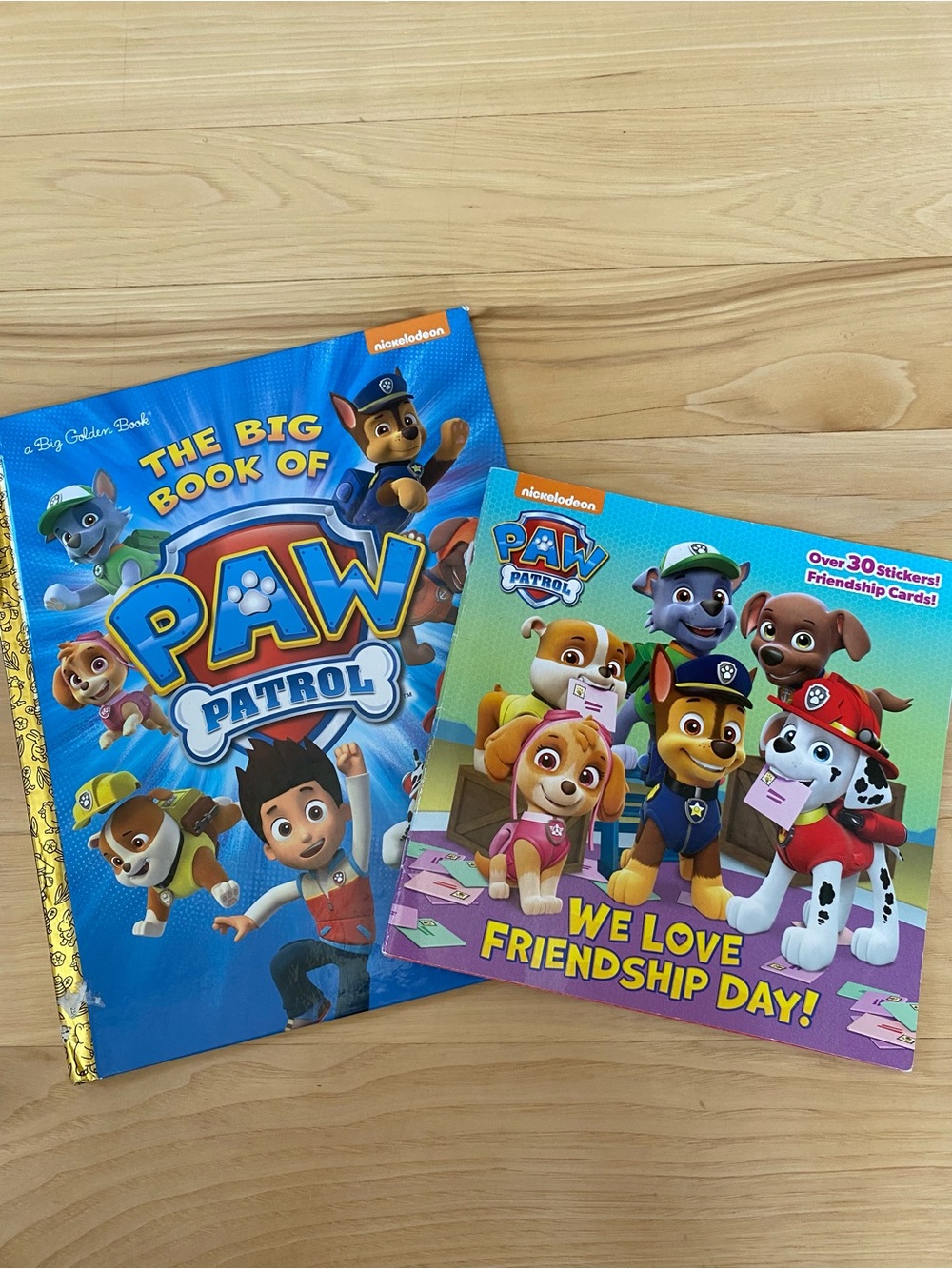 Paw Patrol Books Lot of 2 Books Preloved